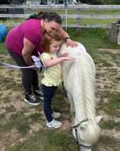 Load image into Gallery viewer, Parent and child farm program with miniature horses in Caledon
